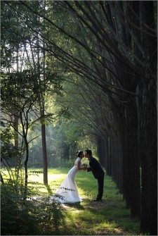 婚纱照片调色，Photoshop给树林婚纱照片增加灿烂的阳光色彩