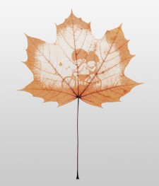 Photoshop给枫叶上面绘制温馨的刻画效果的合成教程