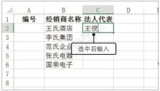 Excel2019中文本与数字的输入方法