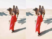使用Photoshop给牵着骆驼的红裙美女模特P出大长腿