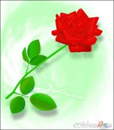 用Illustrator CS5绘制漂亮的玫瑰花