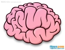Illustrator教你怎么绘制大脑图标