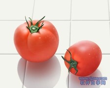 最新推出的PS绘制逼真西红柿效果教程