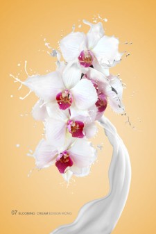 用Photoshop合成牛奶和鲜花图片实例教程