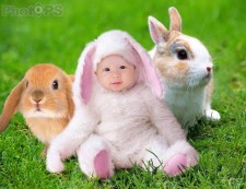 PS简单给宝宝添加两只小兔子效果